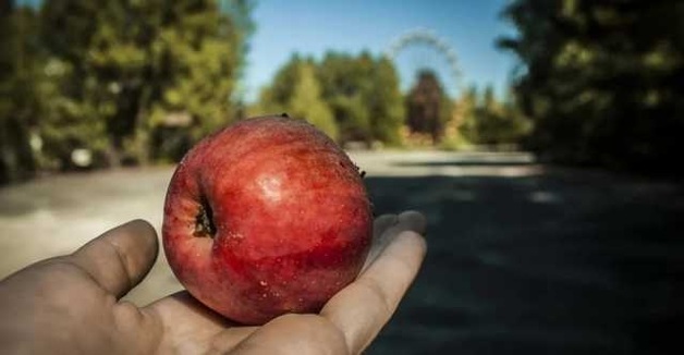 СМИ назвали источник радиационного загрязнения продуктов в Украине