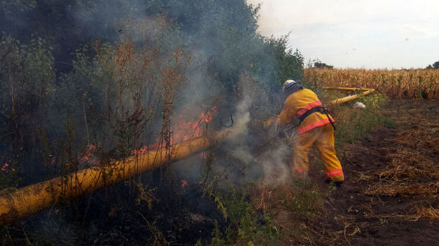 В Днепропетровской области возле газопровода возник пожар