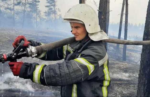 Пожары на Луганщине до сих пор не потушили, спасатели назвали масштабы катастрофы