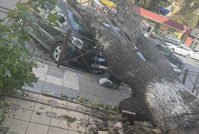 Ураганный ветер в Дагестане оставил без электричества десятки тысяч жителей