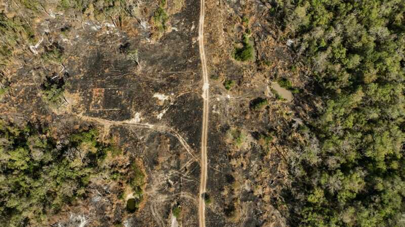How Smugglers Conceal Themselves in the Chaco: An Airstrip in Paraguay’s Woods