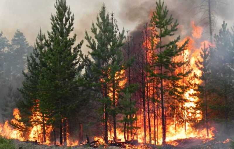 Лесной пожар в Соединенных Штатах уничтожил дома и приближается к водоразделам