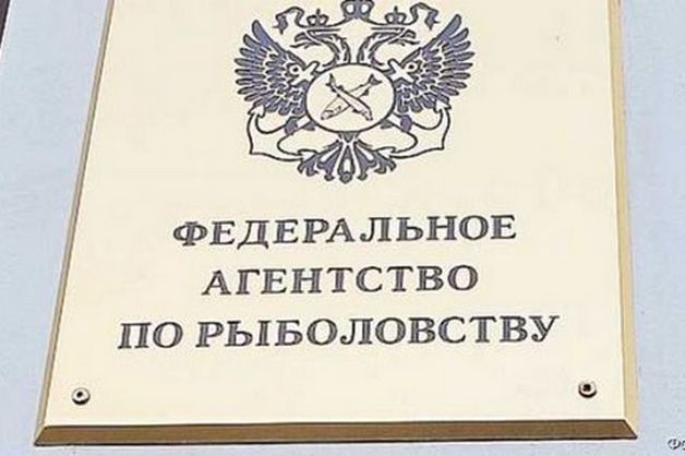 Росрыболовство "сгнило" с головы?