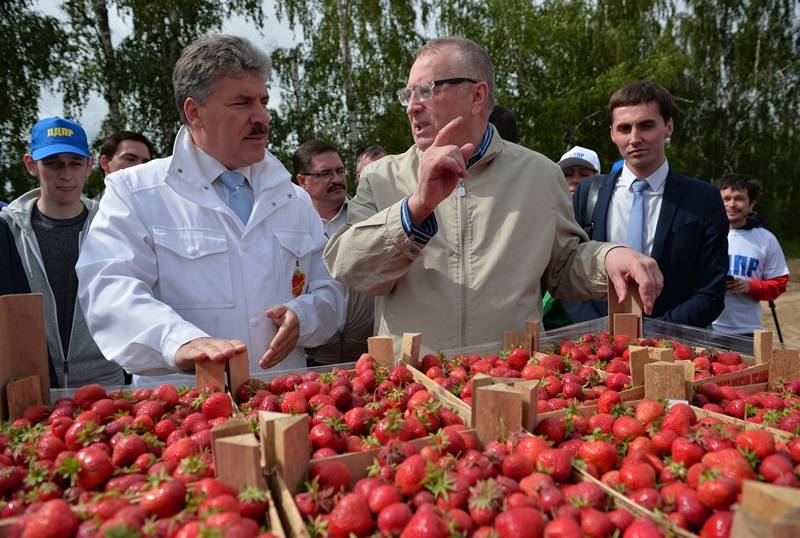 Партийные принцыпы для вчерашнего единороса не преграда, чтобы предложить Владимиру Вольфовичу кулбничку?Фото: Дмитрий Коротаев/Коммерсантъ qhxidediqqdiuzglv