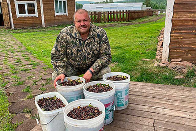 Сотрудники ФСБ задержали мэра российского города